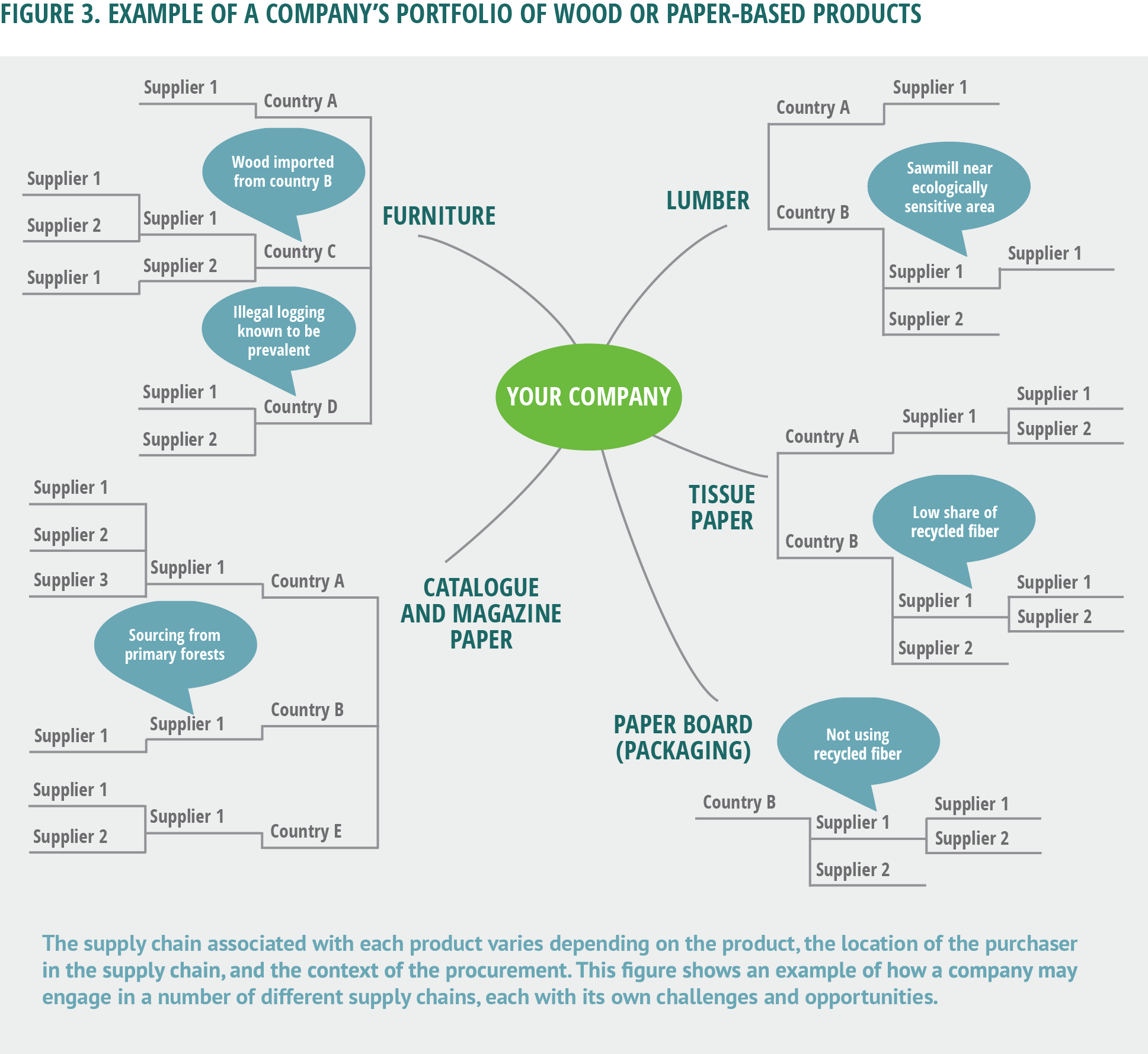 Figure 3. Example of a company's portfolio of wood or paper-based products.