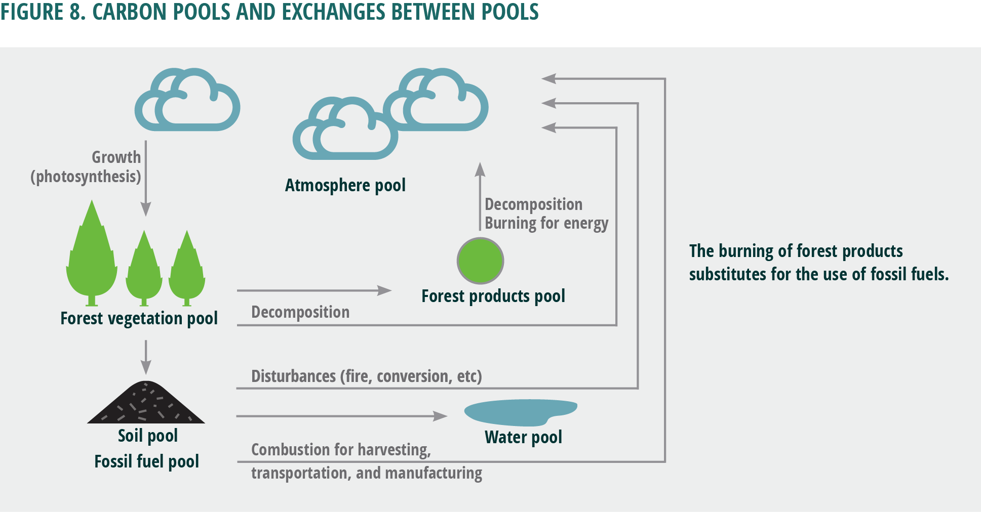 Figure 8. Carbon pools and exchanges between pools